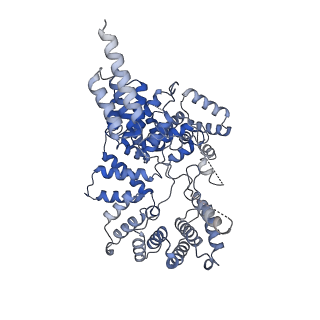 21222_6vk0_A_v1-2
CryoEM structure of Hrd1-Usa1/Der1/Hrd3 of the flipped topology