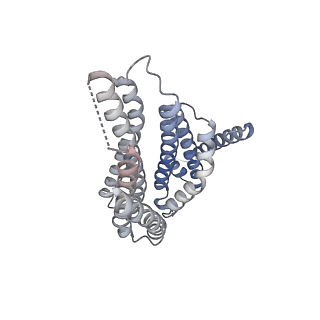 21222_6vk0_B_v1-2
CryoEM structure of Hrd1-Usa1/Der1/Hrd3 of the flipped topology