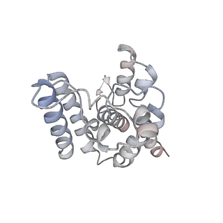 21222_6vk0_C_v1-2
CryoEM structure of Hrd1-Usa1/Der1/Hrd3 of the flipped topology