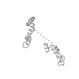 21222_6vk0_D_v1-1
CryoEM structure of Hrd1-Usa1/Der1/Hrd3 of the flipped topology
