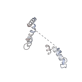 21222_6vk0_D_v1-2
CryoEM structure of Hrd1-Usa1/Der1/Hrd3 of the flipped topology