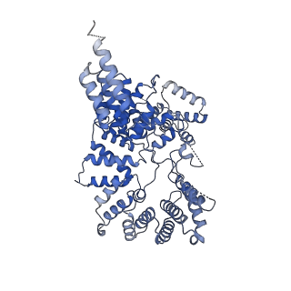 21223_6vk1_A_v1-2
CryoEM structure of Hrd1/Hrd3 part from Hrd1-Usa1/Der1/Hrd3 complex