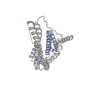 21223_6vk1_B_v1-2
CryoEM structure of Hrd1/Hrd3 part from Hrd1-Usa1/Der1/Hrd3 complex