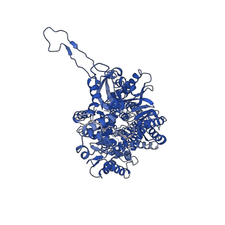 21228_6vks_B_v1-2
Cryo-electron microscopy structures of a gonococcal multidrug efflux pump illuminate a mechanism of drug recognition with ampicillin