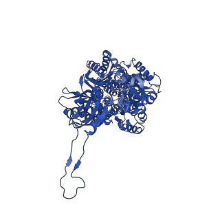 21228_6vks_C_v1-2
Cryo-electron microscopy structures of a gonococcal multidrug efflux pump illuminate a mechanism of drug recognition with ampicillin