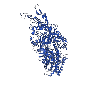 21229_6vkt_A_v1-1
Cryo-electron microscopy structures of a gonococcal multidrug efflux pump illuminate a mechanism of erythromycin drug recognition