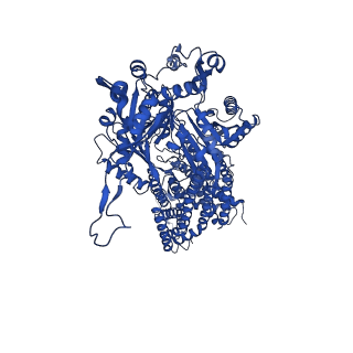 21229_6vkt_B_v1-1
Cryo-electron microscopy structures of a gonococcal multidrug efflux pump illuminate a mechanism of erythromycin drug recognition