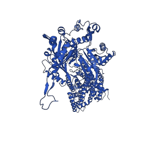 21229_6vkt_B_v1-2
Cryo-electron microscopy structures of a gonococcal multidrug efflux pump illuminate a mechanism of erythromycin drug recognition