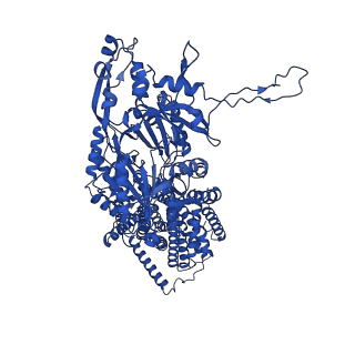 21229_6vkt_C_v1-1
Cryo-electron microscopy structures of a gonococcal multidrug efflux pump illuminate a mechanism of erythromycin drug recognition