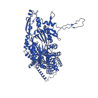 21229_6vkt_C_v1-2
Cryo-electron microscopy structures of a gonococcal multidrug efflux pump illuminate a mechanism of erythromycin drug recognition