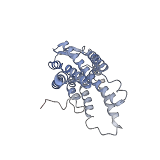 32018_7vkt_A_v1-1
cryo-EM structure of LTB4-bound BLT1 in complex with Gi protein