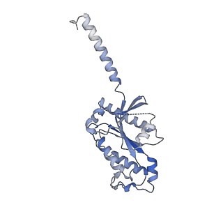 32018_7vkt_B_v1-1
cryo-EM structure of LTB4-bound BLT1 in complex with Gi protein