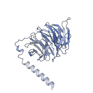 32018_7vkt_C_v1-1
cryo-EM structure of LTB4-bound BLT1 in complex with Gi protein