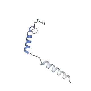32018_7vkt_D_v1-1
cryo-EM structure of LTB4-bound BLT1 in complex with Gi protein