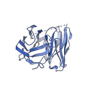 32018_7vkt_E_v1-1
cryo-EM structure of LTB4-bound BLT1 in complex with Gi protein