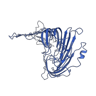 32019_7vku_A_v1-0
Cryo-EM structure of SAM-Tom40 intermediate complex
