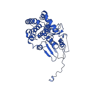 32019_7vku_B_v1-0
Cryo-EM structure of SAM-Tom40 intermediate complex