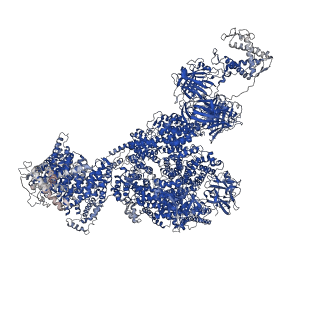 43299_8vk3_C_v1-0
Structure of mouse RyR1 in complex with S100A1 (EGTA-only dataset)