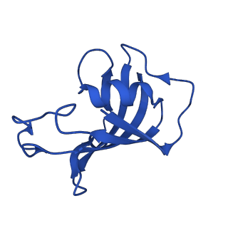 43299_8vk3_F_v1-0
Structure of mouse RyR1 in complex with S100A1 (EGTA-only dataset)