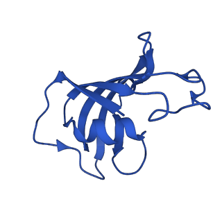 43299_8vk3_H_v1-0
Structure of mouse RyR1 in complex with S100A1 (EGTA-only dataset)