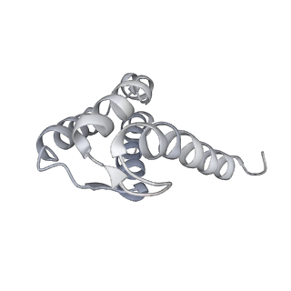 43299_8vk3_I_v1-0
Structure of mouse RyR1 in complex with S100A1 (EGTA-only dataset)
