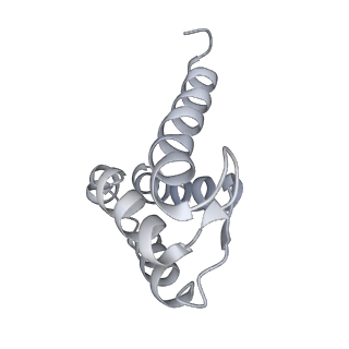 43299_8vk3_K_v1-0
Structure of mouse RyR1 in complex with S100A1 (EGTA-only dataset)