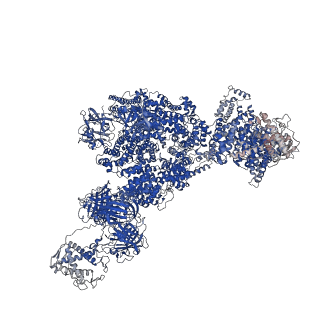 43304_8vk4_A_v1-0
Structure of mouse RyR1 in complex with S100A1 (high-Ca2+/CFF/ATP dataset)