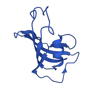 43304_8vk4_E_v1-0
Structure of mouse RyR1 in complex with S100A1 (high-Ca2+/CFF/ATP dataset)