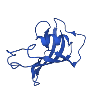 43304_8vk4_F_v1-0
Structure of mouse RyR1 in complex with S100A1 (high-Ca2+/CFF/ATP dataset)