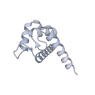 43304_8vk4_I_v1-0
Structure of mouse RyR1 in complex with S100A1 (high-Ca2+/CFF/ATP dataset)