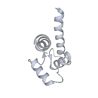 43304_8vk4_J_v1-0
Structure of mouse RyR1 in complex with S100A1 (high-Ca2+/CFF/ATP dataset)