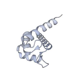 43304_8vk4_K_v1-0
Structure of mouse RyR1 in complex with S100A1 (high-Ca2+/CFF/ATP dataset)