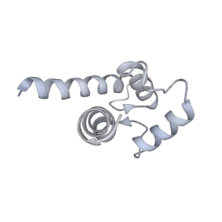 43304_8vk4_L_v1-0
Structure of mouse RyR1 in complex with S100A1 (high-Ca2+/CFF/ATP dataset)