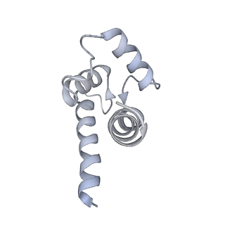 43304_8vk4_N_v1-0
Structure of mouse RyR1 in complex with S100A1 (high-Ca2+/CFF/ATP dataset)