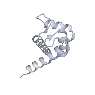 43304_8vk4_O_v1-0
Structure of mouse RyR1 in complex with S100A1 (high-Ca2+/CFF/ATP dataset)