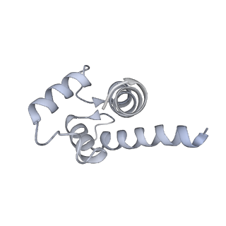 43304_8vk4_P_v1-0
Structure of mouse RyR1 in complex with S100A1 (high-Ca2+/CFF/ATP dataset)