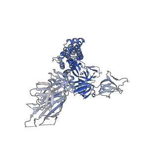 43320_8vkk_A_v1-0
Cryo-EM structure of SARS-CoV-2 XBB.1.5 spike protein