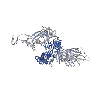 43320_8vkk_B_v1-0
Cryo-EM structure of SARS-CoV-2 XBB.1.5 spike protein