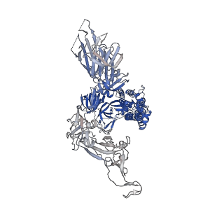 43320_8vkk_C_v1-0
Cryo-EM structure of SARS-CoV-2 XBB.1.5 spike protein