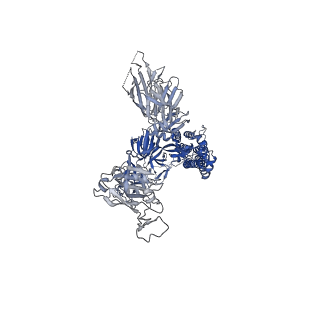 43321_8vkl_C_v1-0
Cryo-EM structure of SARS-CoV-2 XBB.1.5 spike protein in complex with mouse ACE2 (conformation 2)