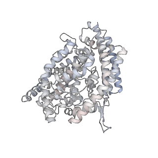 43321_8vkl_D_v1-0
Cryo-EM structure of SARS-CoV-2 XBB.1.5 spike protein in complex with mouse ACE2 (conformation 2)