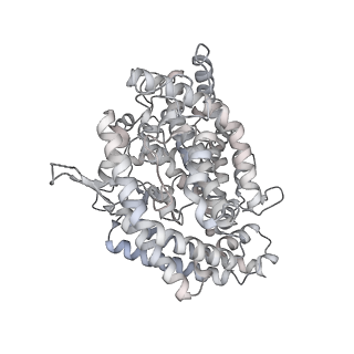 43321_8vkl_F_v1-0
Cryo-EM structure of SARS-CoV-2 XBB.1.5 spike protein in complex with mouse ACE2 (conformation 2)