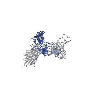 43322_8vkm_A_v1-0
Cryo-EM structure of SARS-CoV-2 XBB.1.5 spike protein in complex with mouse ACE2 (conformation 1)