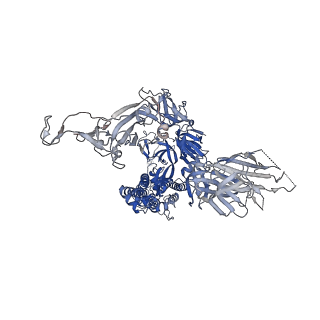 43322_8vkm_B_v1-0
Cryo-EM structure of SARS-CoV-2 XBB.1.5 spike protein in complex with mouse ACE2 (conformation 1)