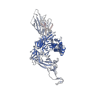 43322_8vkm_C_v1-0
Cryo-EM structure of SARS-CoV-2 XBB.1.5 spike protein in complex with mouse ACE2 (conformation 1)