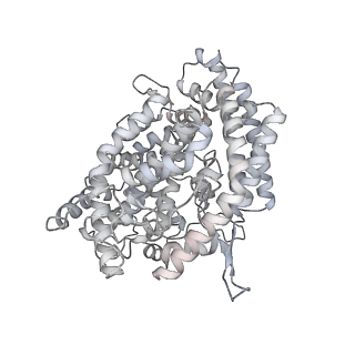 43322_8vkm_D_v1-0
Cryo-EM structure of SARS-CoV-2 XBB.1.5 spike protein in complex with mouse ACE2 (conformation 1)