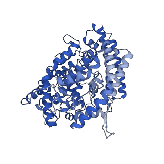 43323_8vkn_D_v1-0
Cryo-EM structure of SARS-CoV-2 XBB.1.5 spike protein in complex with mouse ACE2 (focused refinement of RBD and mouse ACE2)