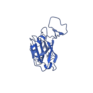 43325_8vkp_A_v1-0
Cryo-EM structure of SARS-CoV-2 XBB.1.5 spike protein in complex with human ACE2 (focused refinement of RBD and ACE2)