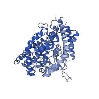 43325_8vkp_D_v1-0
Cryo-EM structure of SARS-CoV-2 XBB.1.5 spike protein in complex with human ACE2 (focused refinement of RBD and ACE2)