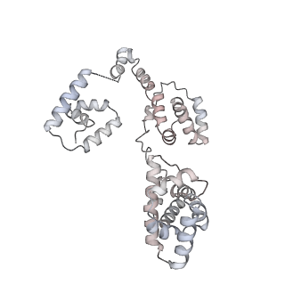 43327_8vkq_AA_v1-0
CW Flagellar Switch Complex - FliF, FliG, FliM, and FliN forming the C-ring from Salmonella